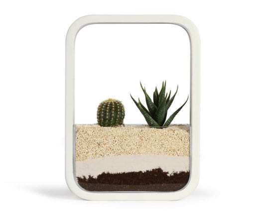 Jardin d’intérieur