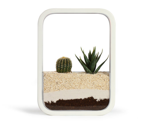 Jardin d’intérieur